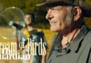Dream of birds: the lost songs of Argentina – documentary