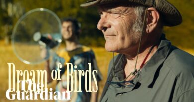 Dream of birds: the lost songs of Argentina – documentary