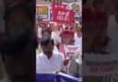ECI के खिलाफ Akhilesh Yadav भी ‘Save Democracy March’ में पार्टी सांसदों के साथ शामिल