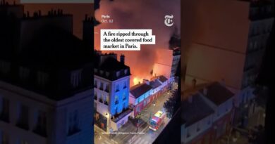 Fire in Paris Destroys Its Oldest Covered Food Market