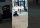 Food Delivery Robots Run Into Trouble