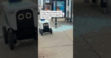 Food Delivery Robots Run Into Trouble