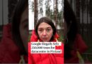 Google illegally fells 250,000 trees for datacentre in Finland