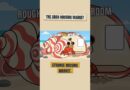 Hermit Crabs Have Never Owned A Home #shorts