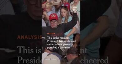 How Confrontations at Trump Rallies Echo His Past Events