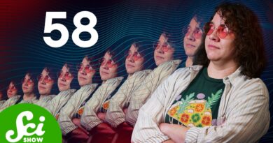 How Many Times Can You Clone Your Clone?