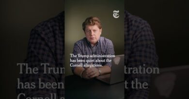 How Resolved Sexual Assault Cases Have Dropped Under Trump