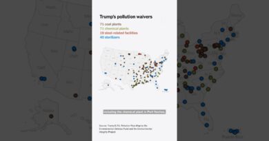 How Trump Gave the Worst Polluters a Free Pass