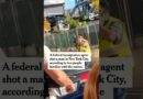 ICE Agent Shoots and Wounds Man in New York City