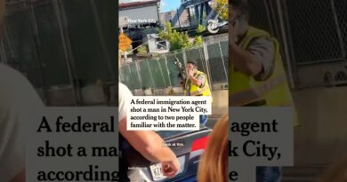 ICE Agent Shoots and Wounds Man in New York City