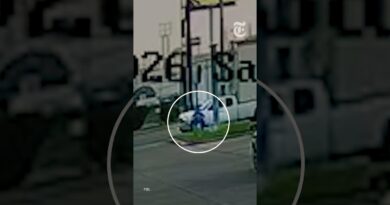 ICE Agent Strikes and Injures Fleeing Man With Vehicle