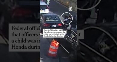 New Footage Shows Moments Around ICE Shooting in NYC