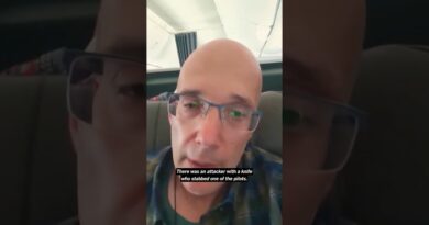 Plane to Israel Averts Disaster After Pilot Stabbing