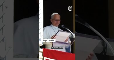 Pope Leo XIV Announces Surgery to Remove a Growth on His Lung