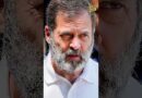 Rahul Gandhi Convoy Accident: 5 गाड़ियां टकराईं, राहुल गांधी सुरक्षित, कैसे हुआ हादसा?