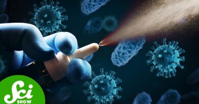 Scientists Are Getting Close to Creating a Universal Vaccine