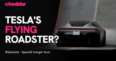 Tesla’s Flying Roadster, Robotaxis and SpaceX Merger Buzz: What Investors Need to Know