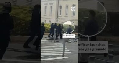 The French 14-Year-Old Maimed by a Tear Gas Grenade