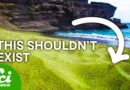 This Green Beach Shouldn’t Exist