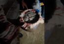 UP के Prayagraj में जमीन में गड़े मिले नोटों से भरे नीले ड्रम | Viral Video