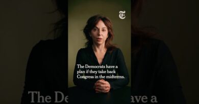 What Could Democrats Do if They Win Congress?
