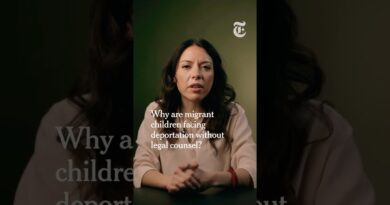 Why Are Migrant Children in Court Without a Lawyer?
