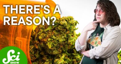 Why Weed Doesn’t Work on Everyone